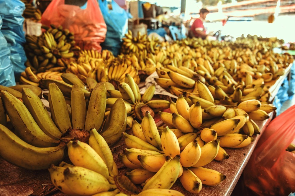 marché réunion ile