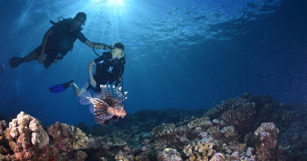 Plongee sous marine La Reunion