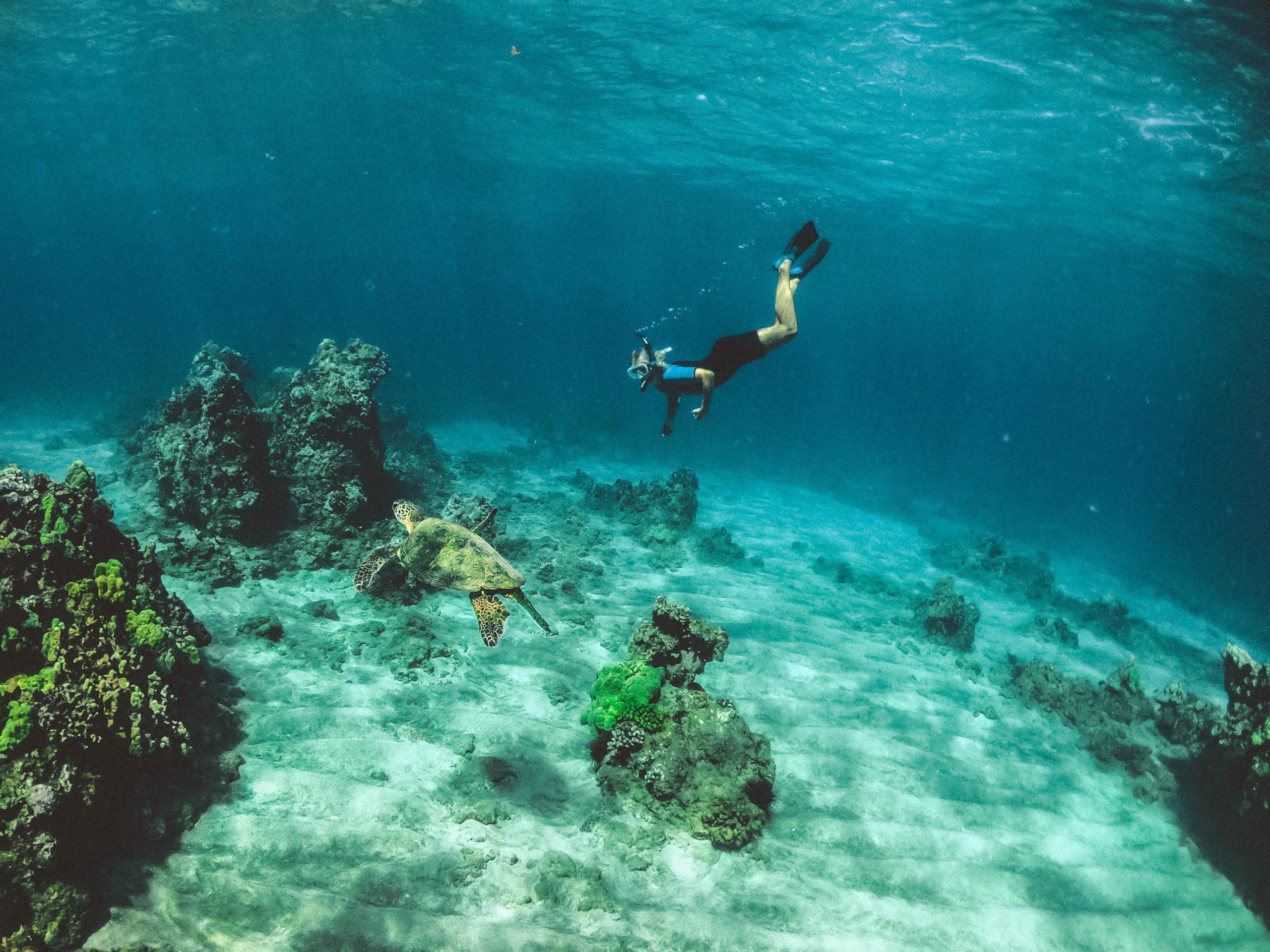 Image de l'article où pratiquer le snorkeling à La Réunion