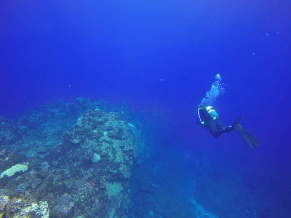 Formation Niveau 3 plongée sous marine à La Réunion - Plongée Salée