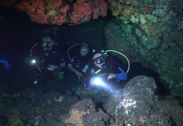 Plongée sous marine de nuit - Plongée Salée