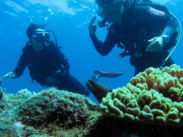 Scuba Diver - Plongée sous marine La Réunion 974 - Plongée Salée