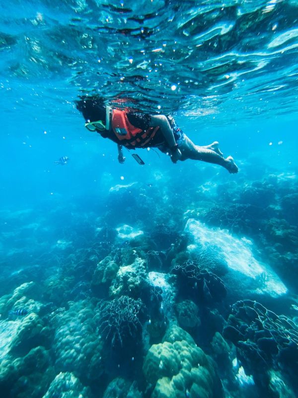 plongée sous marine Réunion