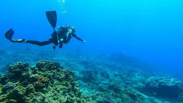 formation plongée 40M - Plongée Salée