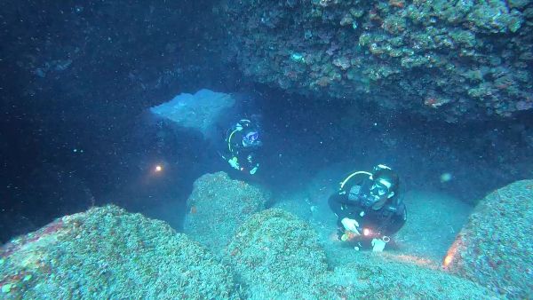 visite sous marine Ali baba - La Réunion - Plongée Salée