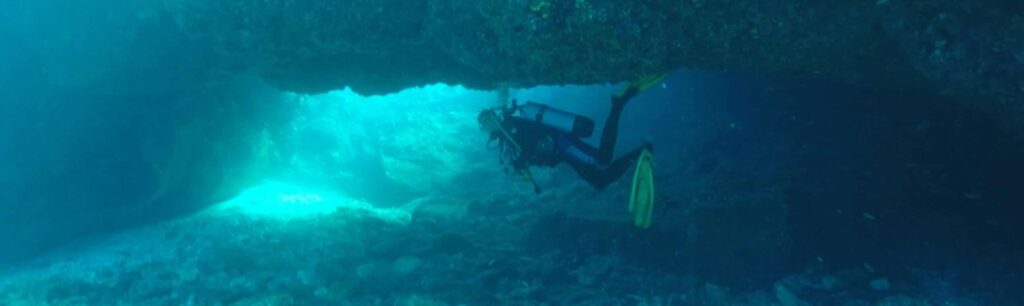 visite sous marine le sec jaune- La Réunion - Plongée Salée