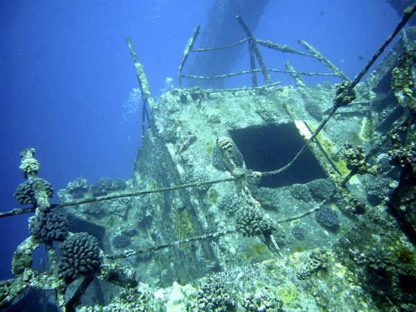 visite sous marine le tombant aux ancres - La Réunion - Plongée Salée