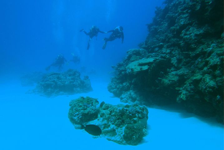 visite sous marine roche à ludo - La Réunion - Plongée Salée