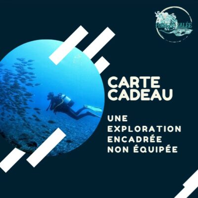 Plongée encadrée non équipée